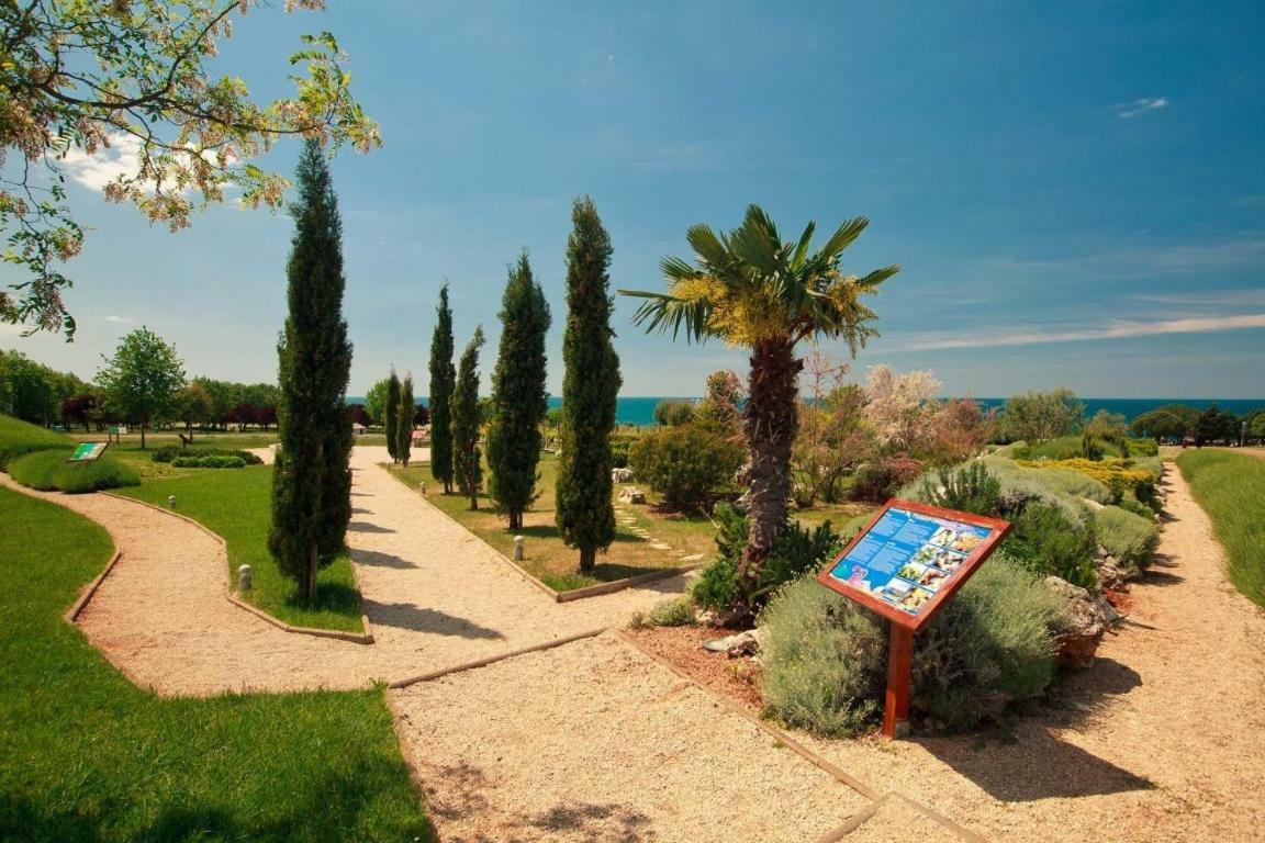Panorama Mobile Homes In Park * Umag